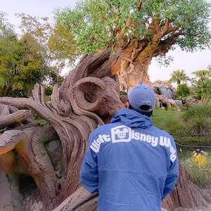 Meet your Posher, Gūrel